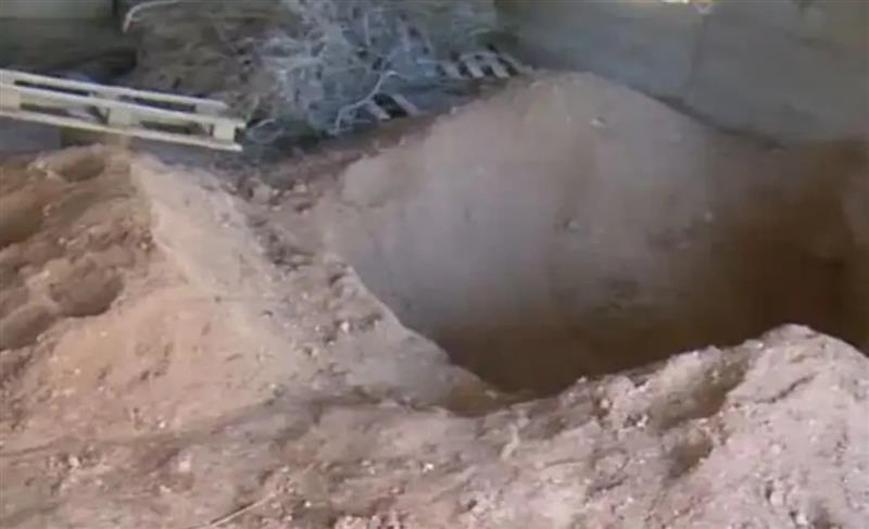 Ужас во Грција: Ја закопала мајка си во шталата, па лажела дека е жива за да ѝ ја зема пензијата 