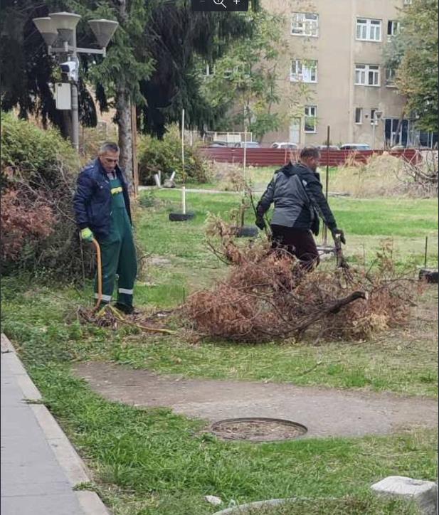 По коментарот на Видиновски денеска се уредува зеленилото пред Парламентот
