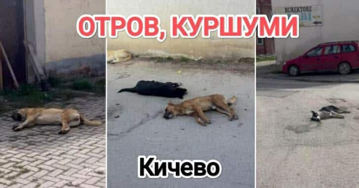 Анима Мунди: Отров и куршуми на улиците на Кичево – ќе се јави ли Фатмир Дехари?