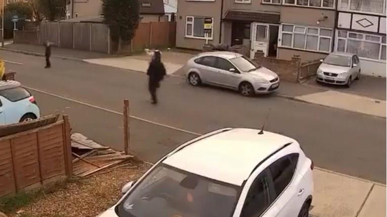 Авганистанец уби Британец во Лондон, додека си го шетал кучето (ВИДЕО)