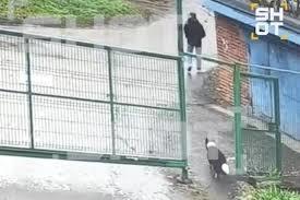 Крадел кучиња- домашни миленици, ги колел, па нивното месо го продавал во ресторани (ВИДЕО)