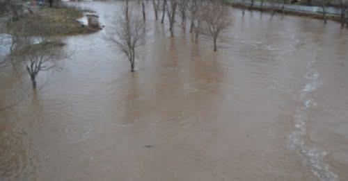 АХВ со препораки за безбедносот на храната, водата за пиење и за заштита на животните во регионите каде има поплавувања