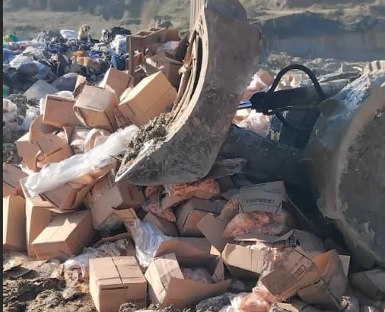 АХВ спречи увоз на над 20 тони помфрит со поминат рок, увезен од Холандија