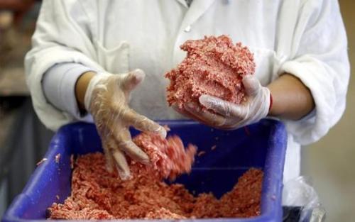 Џакарта забрани продажба на месо од мачки, кучиња и лилјаци поради ризик од беснило
