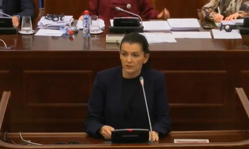 Костадинова Стојчевска: Македонскиот јазик не се чува со кратење на буџетот за инспекторатот за македонски јазик