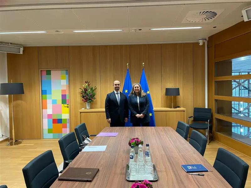 Средба на министерот Муртезани со Ана-Марија Бура од Европскиот совет