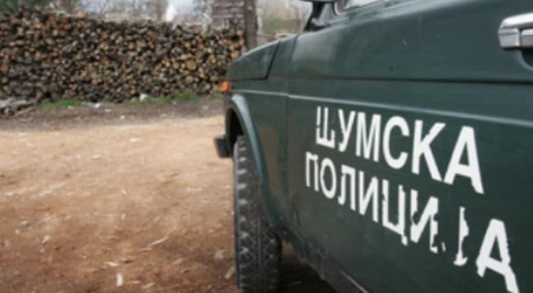 Приведен дрвокрадец од село Мартолци, Општина Чашка
