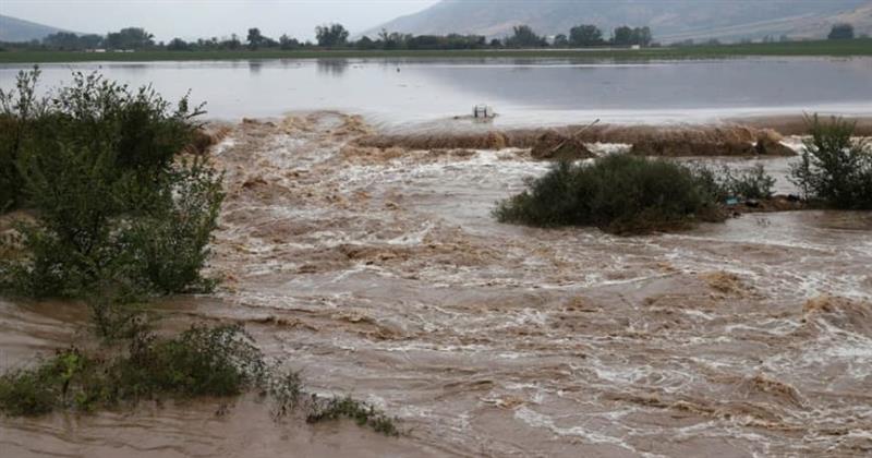 Катастрофални поплави во Грција, жителите на покриви чекаат спас (ВИДЕО)