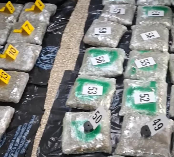 Видео: Запленети 62 пакувања со марихуана при претрес на возило во Струшко