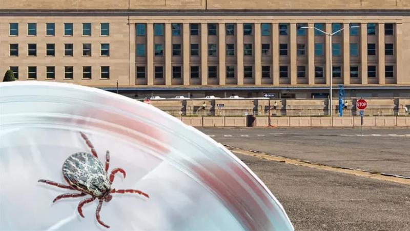 Почна истрагата против американската војска- дали Пентагон користел крлежи за да шири тешка болест?