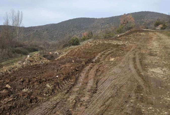 Акција за пошумување во опфатот на Белчишко Блато во општина Дебрца