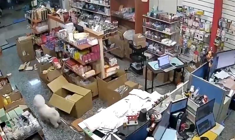 Видео: Земјотрес од 7 степени според Рихтер го погоди Тајван