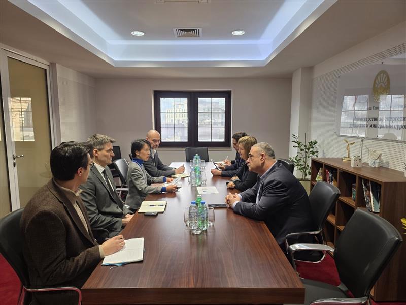 Божиновска-Кавахара: Продлабочување на соработката за безбедна и одржлива енергетска иднина