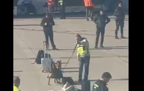 Драма на аеродромот во Барселона: Се претресува авион на „Туркиш Ерлајнс“ од Истанбул (ВИДЕО)