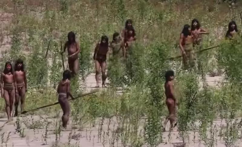 Први снимки од изолирано племе во Амазонија- ги подигнаа копјата и стрелите кога видоа камера (ВИДЕО)