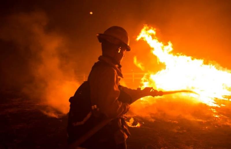 По пожарот во Берлин, понудени се милион евра за информација за мистериозниот пироман 