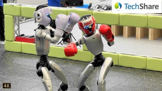 Хуманоидни роботи демонстрираа боречки вештини на пролетниот фестивал во Кина