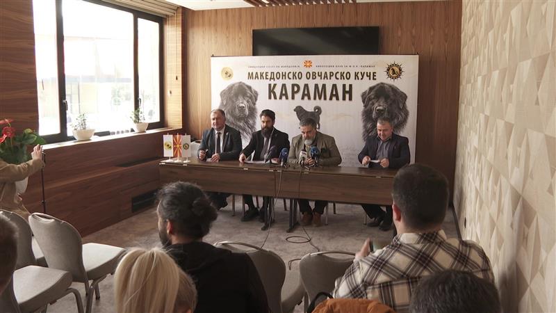 Караманот и официјално признат како посебна раса овчарско куче