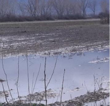 Земјоделски површини во дел од Пелагонија под вода