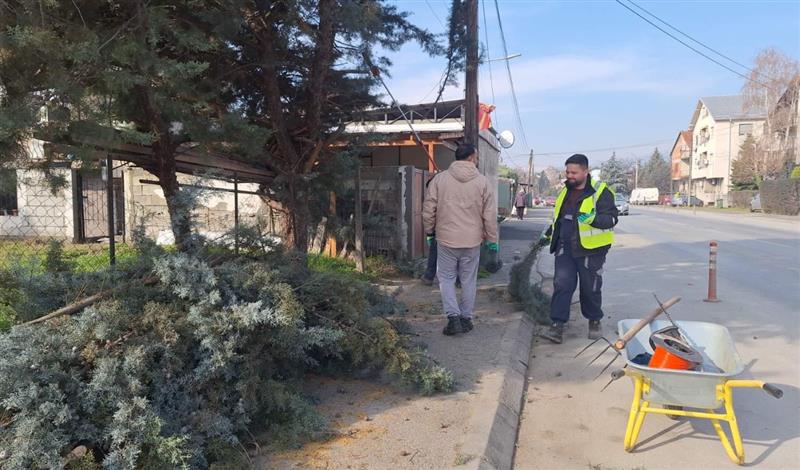 Интензивирани активности за пролетно уредување и модернизација на јавните површини во Ѓорче Петров
