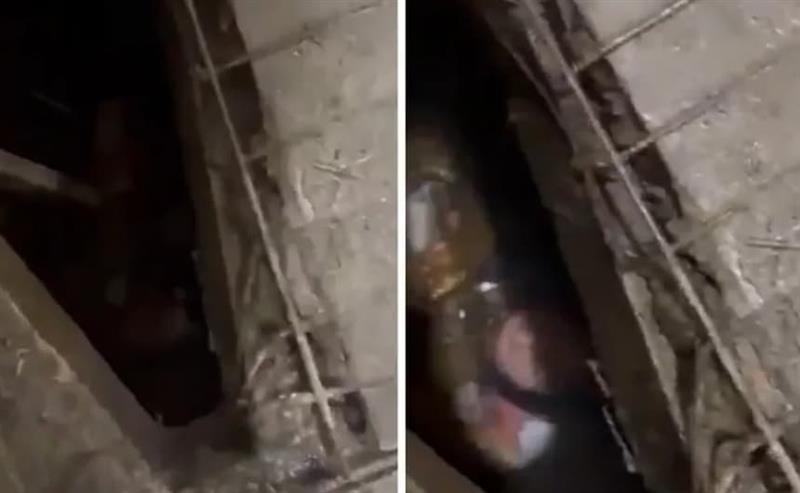 Девојка преживеала хорор- 48 часа била заробена во септичка јама на јавен тоалет (ВИДЕО)