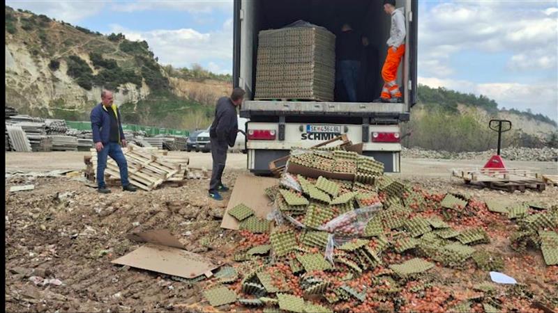 АХВ уништи над 40 тони необележани јајца од Србија- требало да се пласираат на пазарот како македонски