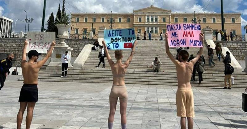 Протест на вегани среде Атина поради колење јагниња пред Велигден: Тоа не е љубов 