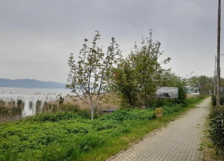 Пловечка платформа на вода или фиксна конструкција на суво – два концепти за довршување на пешачката патека во Дојран