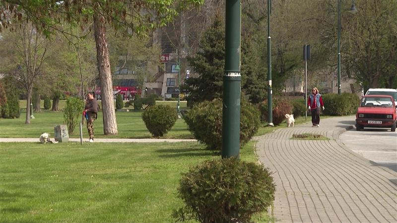 Нов закон за миленици во Македонија – казни од 400 евра за несоодветно чување кучиња, до 5.000 евра за мачење