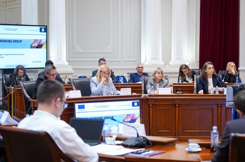 Силна координација и јасни приоритети од Секторската работна група за енергетика