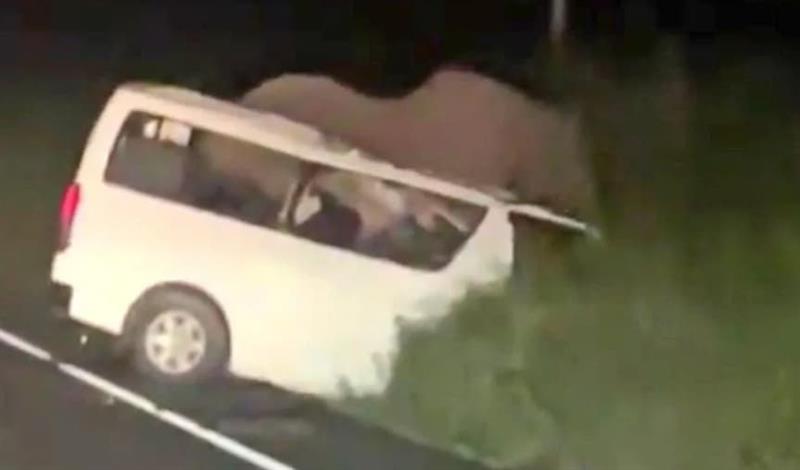 Тројца загинале во Уганда- се судриле со слон 