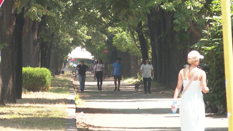 Топлото време ја вжешти линијата на Брзата помош – регистриран зголемен број на колапси 