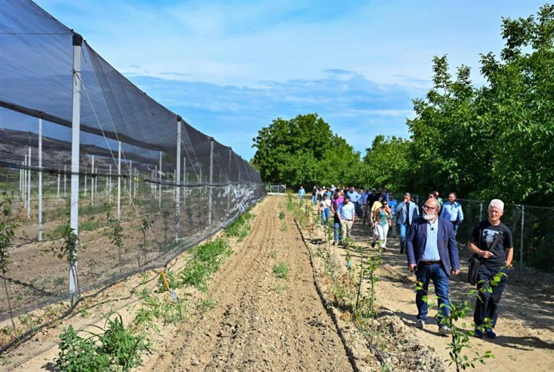 Со германска поддршка во Долно Лисиче ќе се тестираат практики за земјоделство отпорно на климатски промени