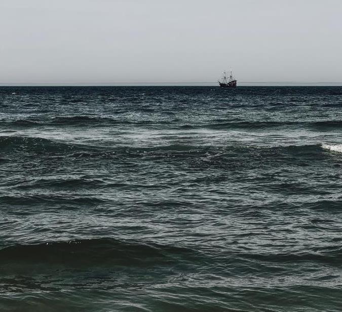 Фото: Што исфрли Црното море, страшната глетка видена во Одеса и во Бугарија и Романија 