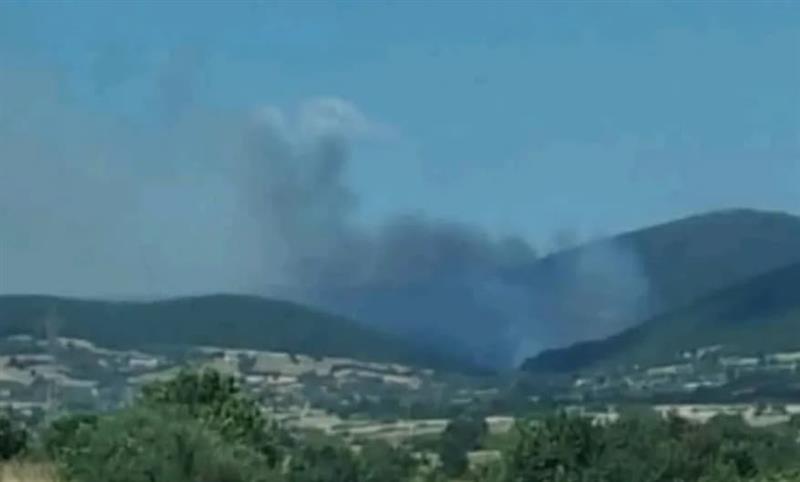 Голем пожар беснее во Грција- го гаснат десетици пожарникари и пет авиони (ВИДЕО)