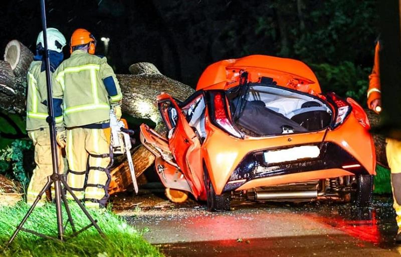 Девојка загина во страшното невреме во Холандија- паѓаа дрвја, громовите предизвикаа пожари (ВИДЕО)