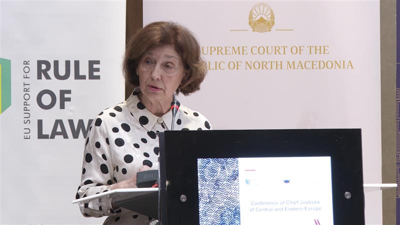 Можеби е потребно да постои механизам на притисок ако не се спроведуваат пресудите во Стразбур, изјави Сиљановска – Давкова
