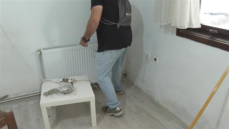 Македонија нема надлежна служба која може да интервеницира за случаи со змии