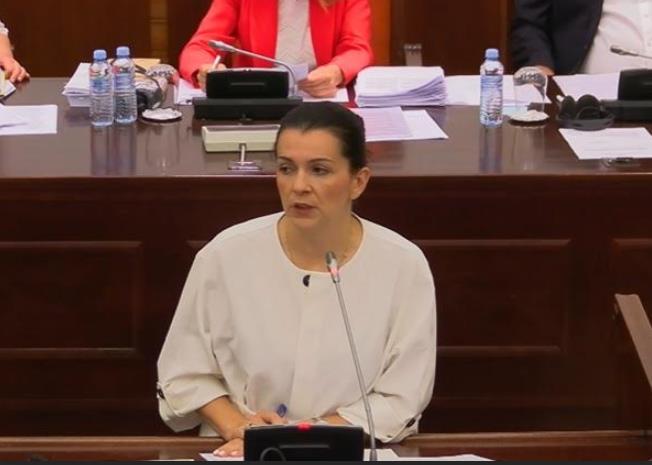 Костадиновска-Стојчевска: Со ребалансот власта крати од инвестициите во културата