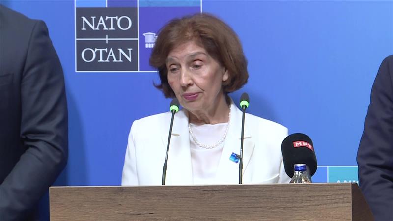 Сиљановска Давкова од Анкара: Се чудам како во НАТО има разбирање, а ЕУ 20 години нè држи во лавиринтот