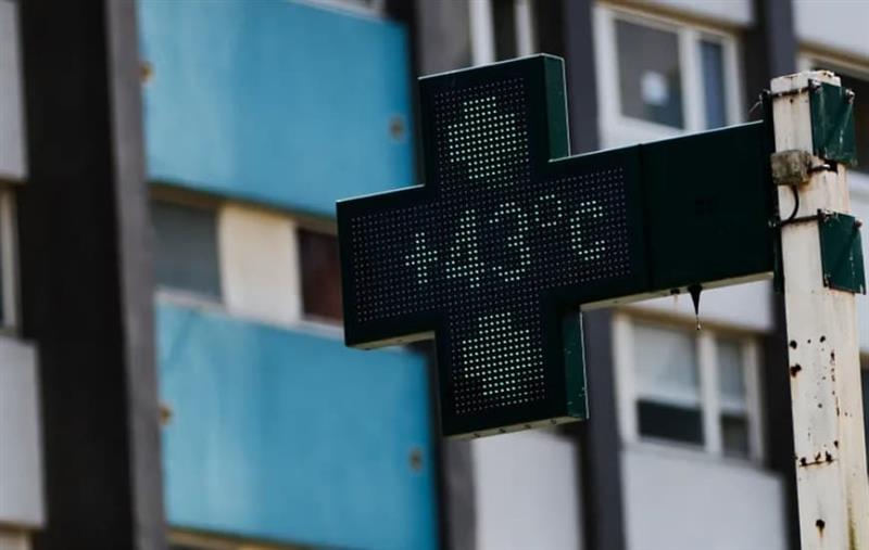 Институт „Роберт Кох“: Топлотниот бран однесе над 5.000 животи во Германија 