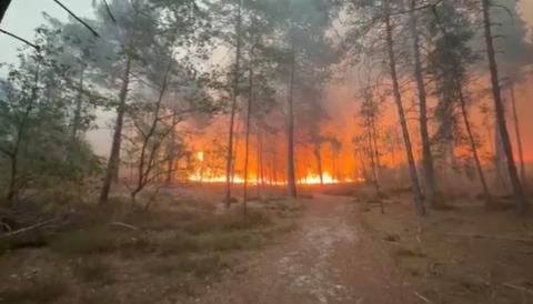 Видео: Голем шумски пожар во Франција, наредена евакуација