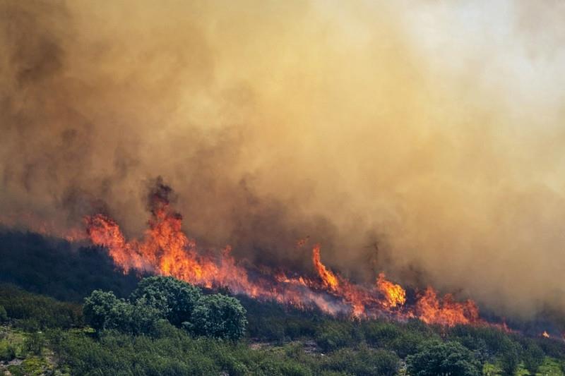 Пожари беснеат низ Европа- најкритично е во Шпанија и Франција, каде загинаа двајца пожарникари (ВИДЕО)