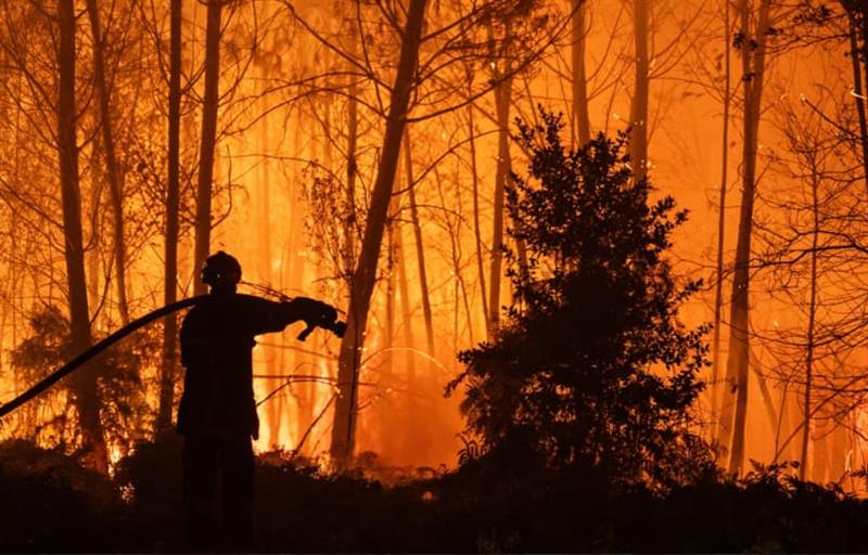 Алармантно во Франција: Огнената стихија се приближува до Бордо, Макрон свика кризен состанок (ВИДЕО)