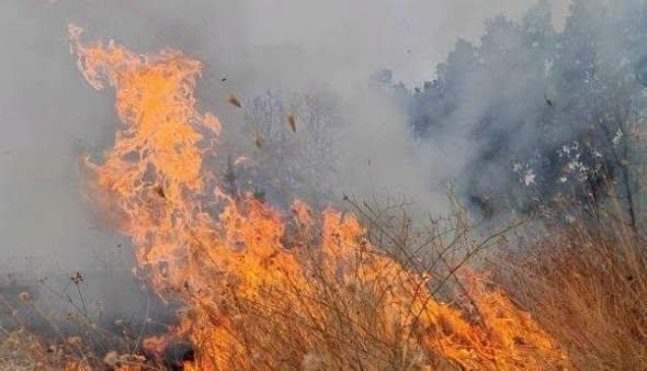 СВР Битола лиши од слобода две лица за подметнување пожари на отворен простор, следуваат соодветни пријави
