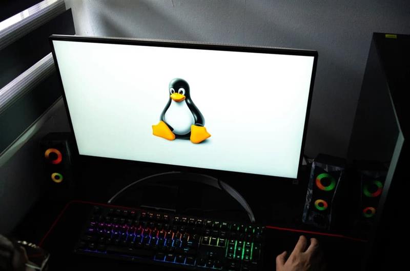 „ChatGPT“ конечно доаѓа на „Linux“