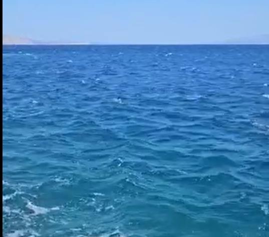 Тажни вести од Хрватска: Пронајдено телото на еден Португалец