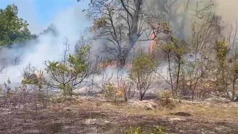 Пожарникари цела ноќ спасувале куќи во селата Богомила и Лознани, битолско