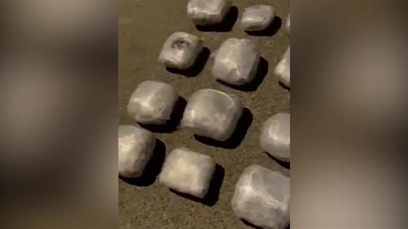 Спогодба од три и пол години затвор за шверцот на пет тони марихуана: Судот ја прифати казната под законскиот минимум