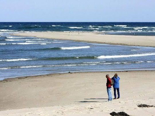 Водата во Северното море со рекордно висока температура од 21,5 степени